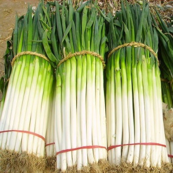 葉面肥,水溶肥,沖施肥,液體肥,進(jìn)口水溶肥