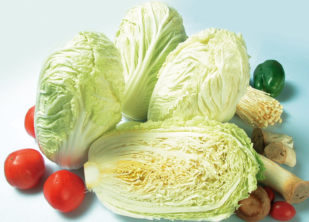 百菜不如白菜，大白菜軟腐病的防治方法