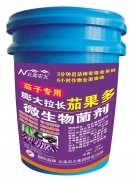 茄子專(zhuān)用膨大拉長(zhǎng)茄果多