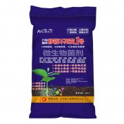 移栽不死苗1號(hào)10公斤 顆粒