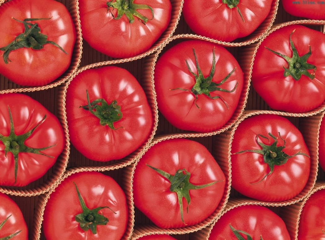 水溶肥,葉面肥,沖施肥,進(jìn)口水溶肥