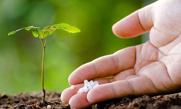 含腐殖酸水溶肥的優(yōu)點(diǎn)