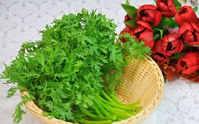 水溶肥,沖施肥,葉面肥,進口水溶肥