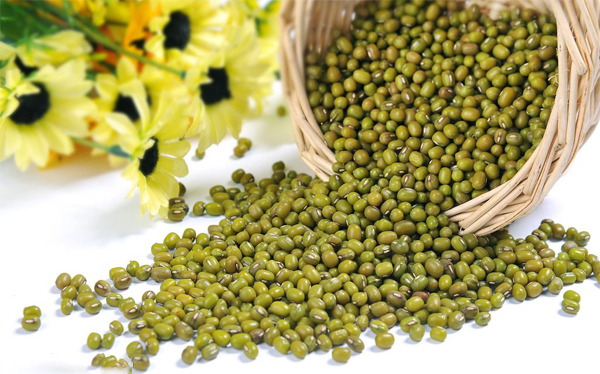 水溶肥,沖施肥,葉面肥,進口水溶肥_綠豆