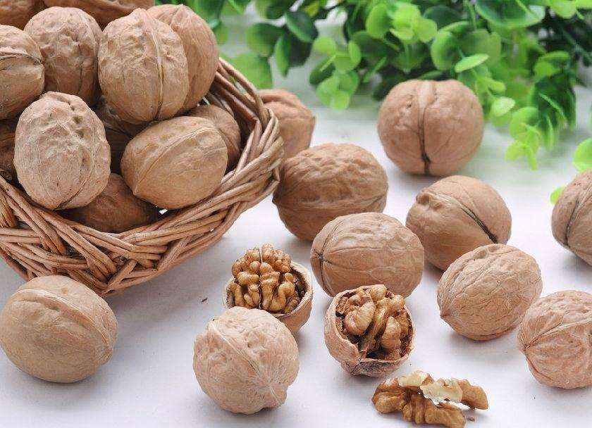 核桃高產(chǎn)的種植管理方法