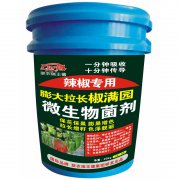 辣椒專用膨大拉長椒滿園(聯(lián)農)