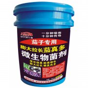 茄子專用膨大拉長茄真多(聯(lián)農)